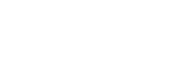 پے میس logo